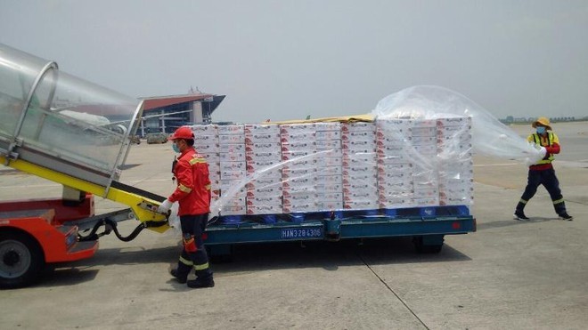 TĐề xuất cấp phép bay vận chuyển hàng hóa cho IPP Cargo của ông Nguyễn Hạnh