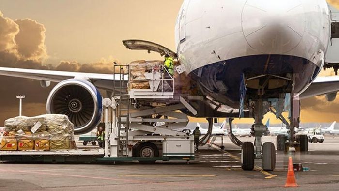 Chính phủ yêu cầu Bộ Giao thông sớm báo cáo về hãng hàng không vận tải IPP Air Cargo